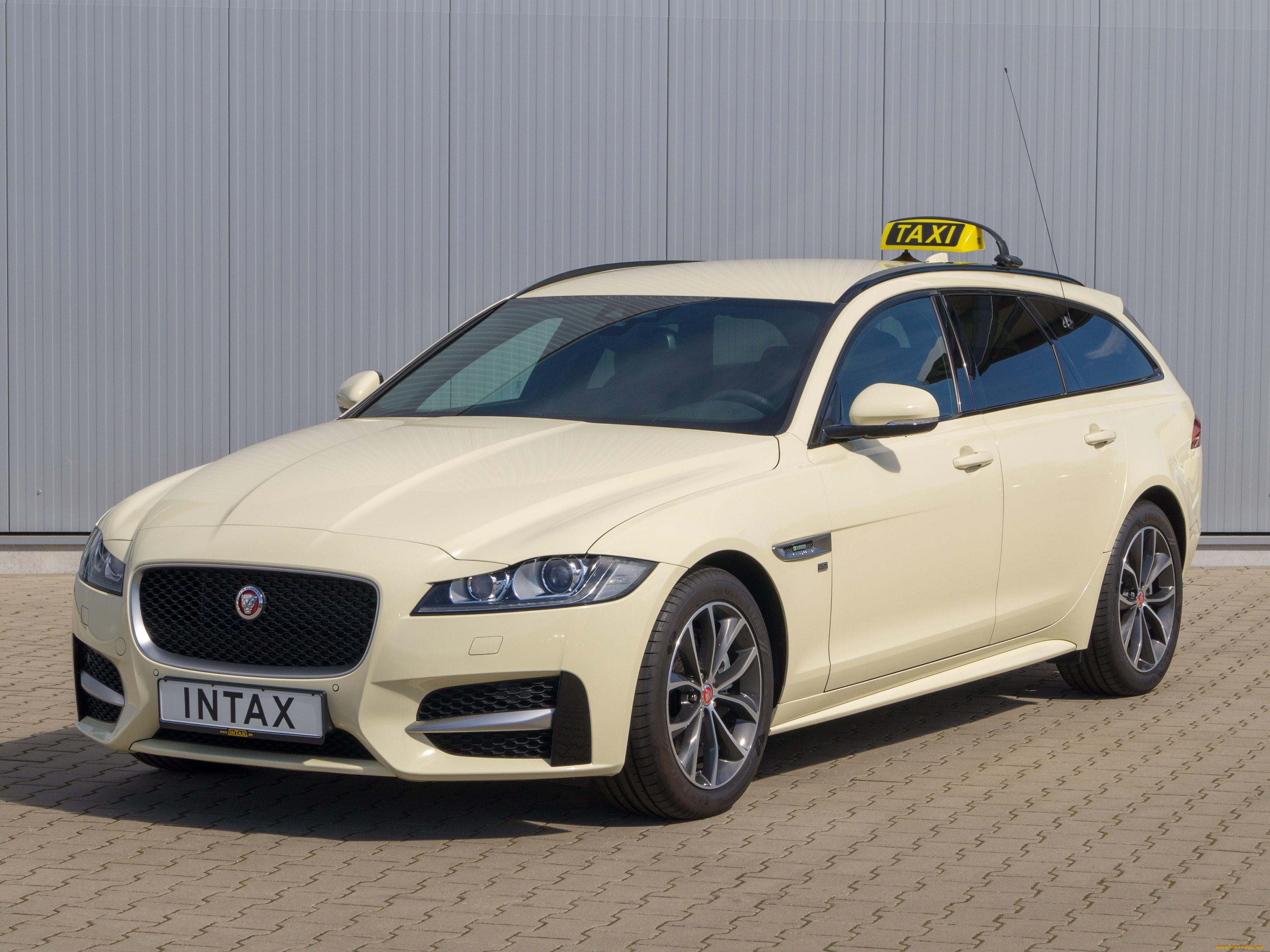 , jaguar